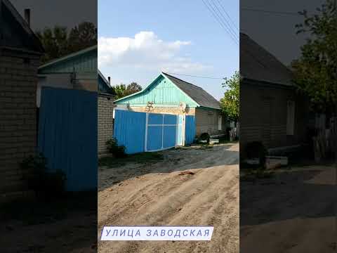 Видео: Большая чураковка 2023