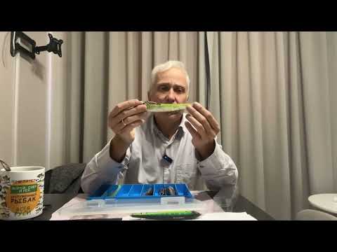 Видео: 11 октября 2025 г. Как ловить осенью…