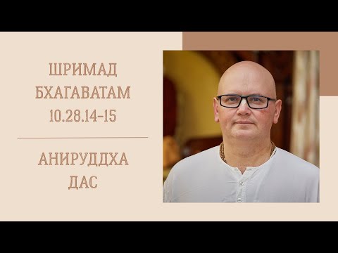 Видео: Анируддха дас - 20.08.25 - ШБ 10.28.14-15
