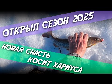 Видео: Открыл сезон 2025 / Новая снасть косит хариуса