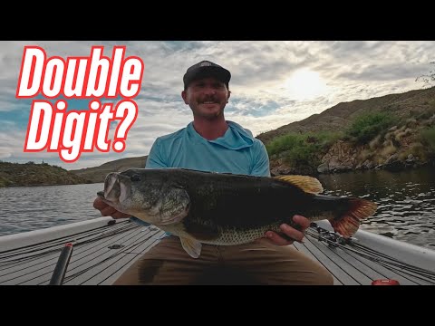 Видео: Мы поймали гиганта и мега-сумку на озере Апачи!