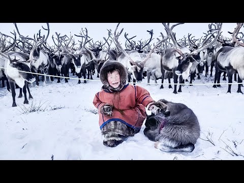 Видео: Галина и её счастье. 2 часть | Ясавэй. Кочевник ХХI века