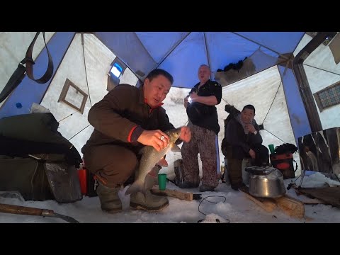 Видео: ТАКИХ ПОДЪЯЗКОВ РЫБКИН ЕЩЕ НЕ ВИДЕЛ!!!