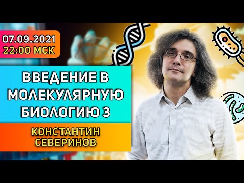 Видео: Константин Северинов. Введение в молекулярную биологию: Молчание генов.