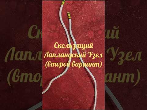 Видео: Мастер-класс по завязыванию узлов на верёвке.Скользящий Лапландский Узел (второй вариант)#shorts
