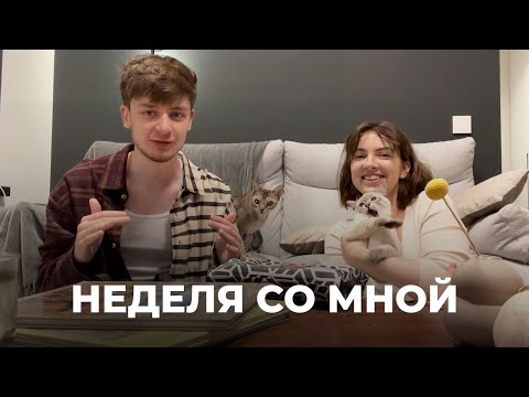 Видео: НЕДЕЛЯ СО МНОЙ: одиночество, фотосъёмки, altoids wallet и два кота