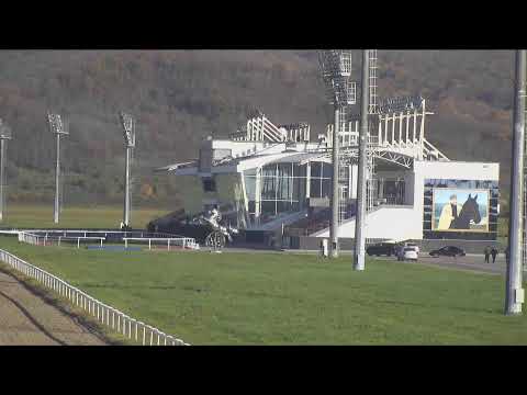 Видео: Прямая трансляция с Грозненского ипподрома им. Сайд-Хусейна Закаева 01.11.2025