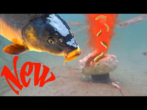 Видео: Снасть —  ГОДА !!! Если Бы Я Раньше Знал ! Flat Activator