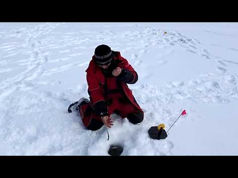 Видео: верхнее ерн озеро.Хариус на реке и озерная рыбалка.