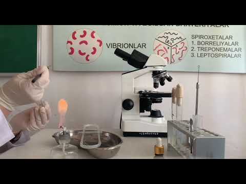 Видео: Приготовление фиксированного мазка