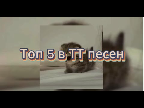 Видео: Топ 5 в ТТ поп песни