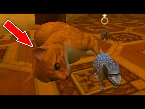 Видео: СИМУЛЯТОР МЫШИ #20 ОХОТИТСЯ на КОТА купили РЫЦАРСКИЙ СКИН в Mouse Simulator