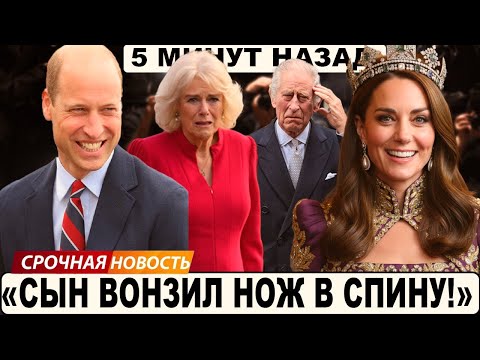 Видео: ДНО ПРОБИТО! Камиллу Унизили И Стерли Из ИСТОРИИ РАДИ КЕЙТ