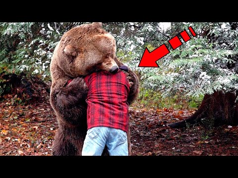 Видео: Мужчина спас медвежонка, а через несколько лет произошло что-то шокирующее!