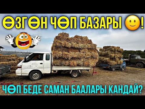 Видео: ОХО ЧӨП БААЛАРЫ УШУНДАЙ БОЛУП ЖАТАТ 🤯 #байтв