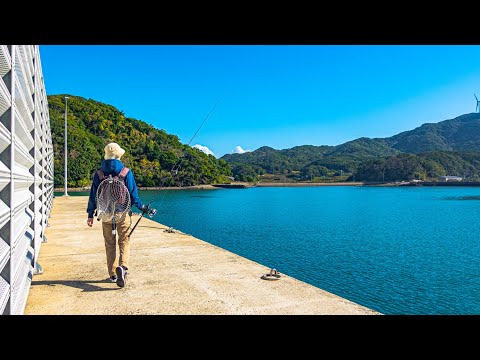 Видео: Рыбалка с приманками на маленьком волнорезе в Японии