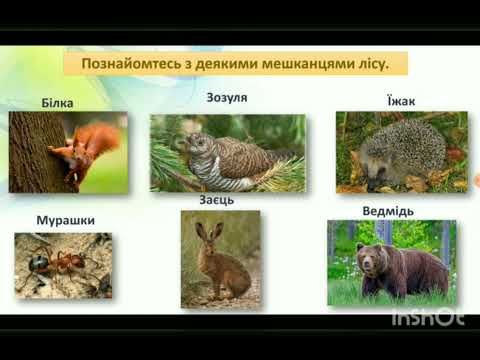 Видео: Тварини в природі. ЯДС. 2 клас