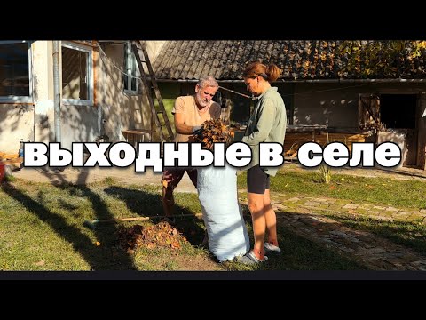 Видео: Выходные: устанавливаем унитаз , едем на озеро и наводим порядок во дворе #домвсербии #ремонтвдоме 