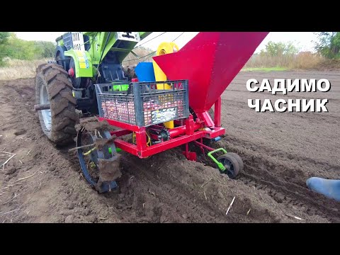 Видео: Садим ЧЕСНОК самодельной сажалкой!