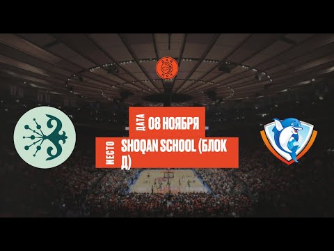 Видео: Shoqan Basket - D-Fitness | ШЛ «Дай Мяч!» Алматы | Middle | 08.11.2025