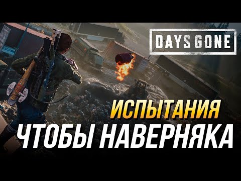 Видео: Days Gone - Испытание "Чтобы наверняка" на золото