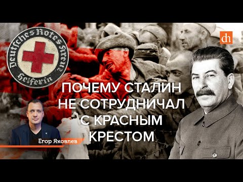 Видео: Почему Сталин не сотрудничал с Красным Крестом/Егор Яковлев