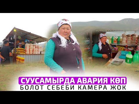 Видео: Жайы-кышы дебей Суусамырда жашайбыз