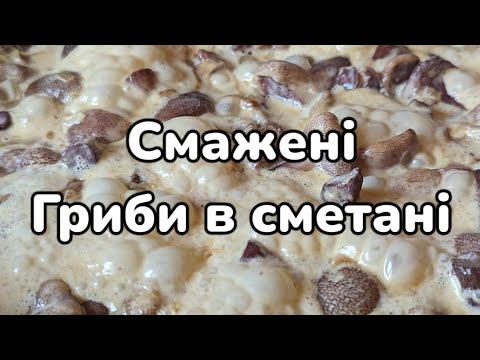 Видео: Гриби в сметані, як смажити маслята маслюки в сметані. Як жарити гриби просто і швидко з цибулею