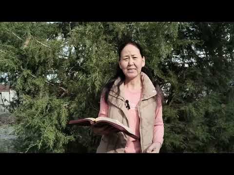 Видео: ҚҰДАЙДЫН УӘДЕСІ  БІЗДІ  САУЛЫҚТЫРАДЫ 🙏 06.11.25 ж