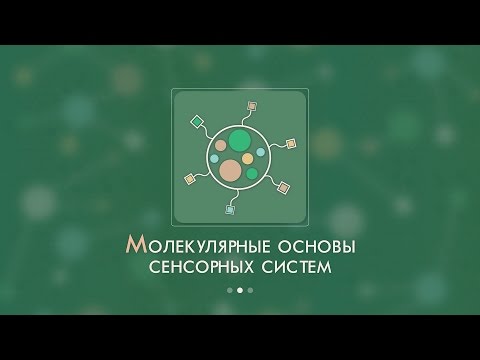 Видео: Лекция 1.1 | Общие черты строения сенсорных систем | Анна Юшкова