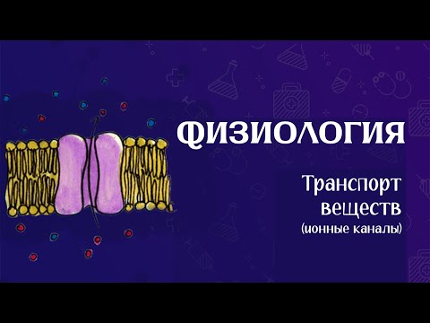 Видео: Транспорт веществ через мембрану
