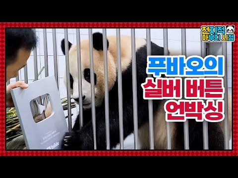 Видео: (SUB) Панда распаковывает серебряную кнопку│ Panda World🐼