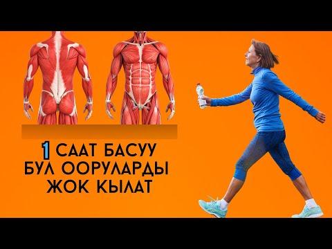 Видео: Күндө басып турсаңыз организм эмне болот? Бул ооруларды жок кылат