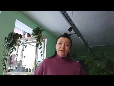 Видео: Достойно есть. Македонский распев.