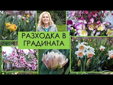 Видео: Първа РАЗХОДКА в градината за тази година | 03.04.2023 г.