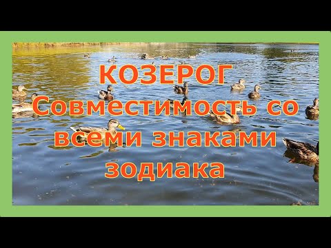 Видео: Козерог. Совместимость козерога со всеми знаками зодиака.
