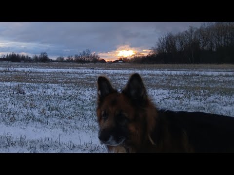 Видео: Апрельский снегопад в Орловской губернии.