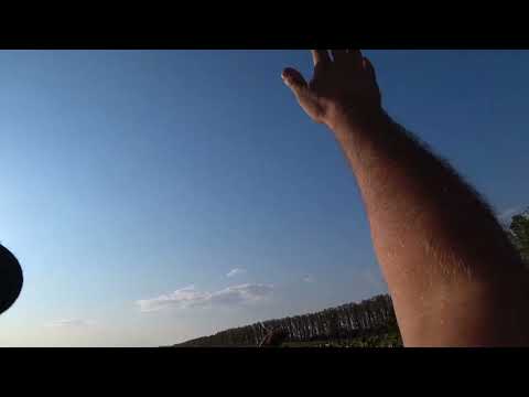 Видео: Неожиданно нарвались на вяхиря !!!!!