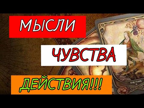 Видео: ТАРО. ЕГОМЫСЛИ ЧУВСТВА ДЕЙСТВИЯ