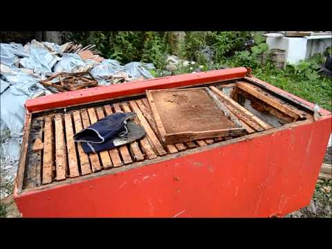Видео: Самый лёгкий способ перетопки сот на пасеке.