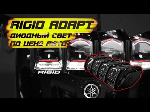 Видео: Rigid ADAPT доп свет по цене авто