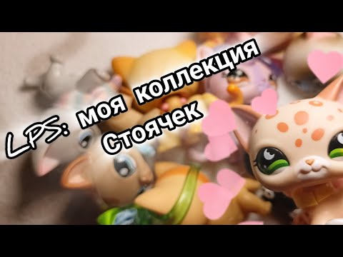 Видео: LPS: моя коллекция СТОЯЧЕК! | Все мои короткошерстные кошки!