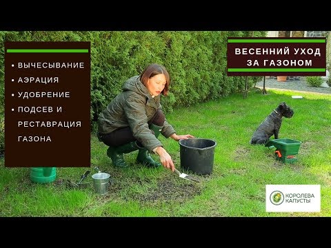 Видео: Весенний уход за газоном//вычесывание, аэрация, удобрение, подсев и реставрация газона