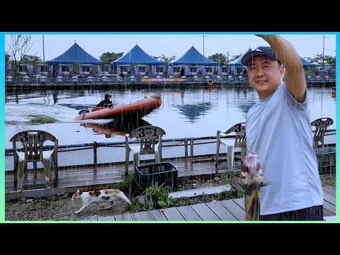 Видео: Ливень, Шашлык и КЕМПИНГ! Снова РЫБАЛКА в Корее 🌧🔥[만정민트바다낚사터]