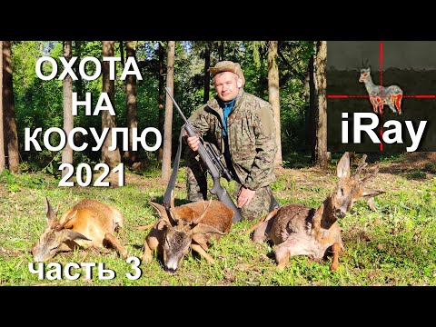 Видео: Охота на косулю 2021. Видео с тепловизора iRay .