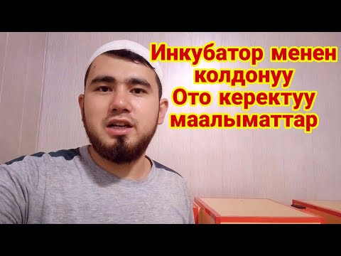 Видео: +996 995 25 25 95 Инкубатор менен колдонуу боюнча толук маалымат. Албетте корунуз.