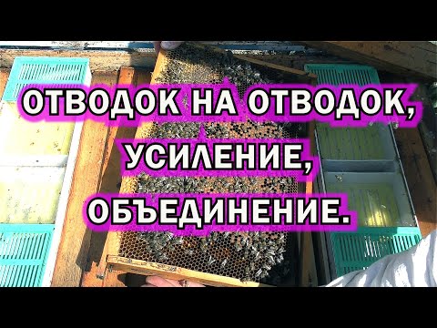 Видео: ОТВОДОК НА ОТВОДОК, УСИЛЕНИЕ, ОБЪЕДИНЕНИЕ.