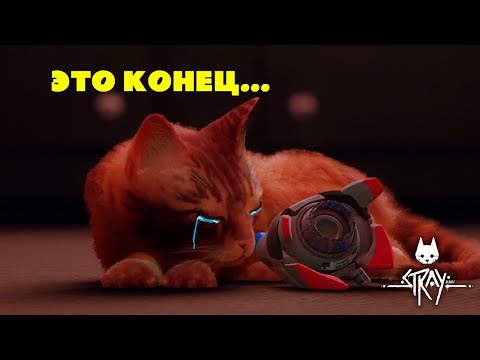 Видео: ОЧЕНЬ ГРУСТНАЯ КОНЦОВКА - Stray ФИНАЛ