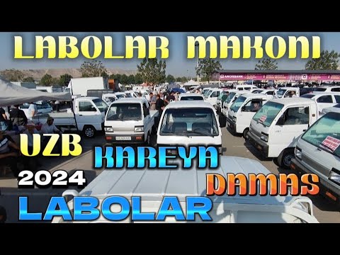 Видео: ЛАБО КАРЕЯ УЗБ ДАМАС ЛАБОЛАР НАРХЛАРИ АНДИЖОН 15.09.2024