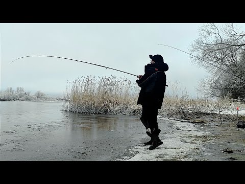 Видео: Зима .Приехал в ночь половить Лещей с Палаткой..Фидерная ловля Леща при минусовых температурах.Река.